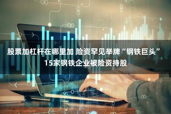 股票加杠杆在哪里加 险资罕见举牌“钢铁巨头” 15家钢铁企业被险资持股