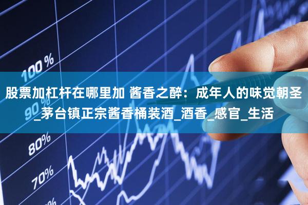 股票加杠杆在哪里加 酱香之醉：成年人的味觉朝圣_茅台镇正宗酱香桶装酒_酒香_感官_生活