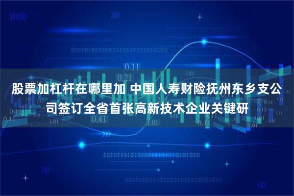 股票加杠杆在哪里加 中国人寿财险抚州东乡支公司签订全省首张高新技术企业关键研