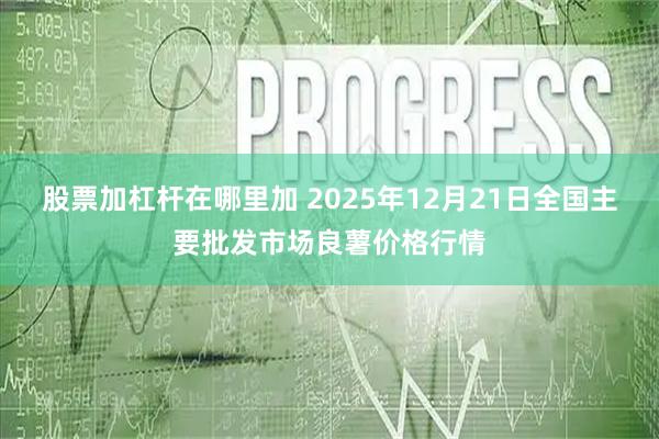 股票加杠杆在哪里加 2025年12月21日全国主要批发市场良薯价格行情