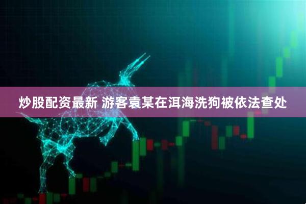 炒股配资最新 游客袁某在洱海洗狗被依法查处